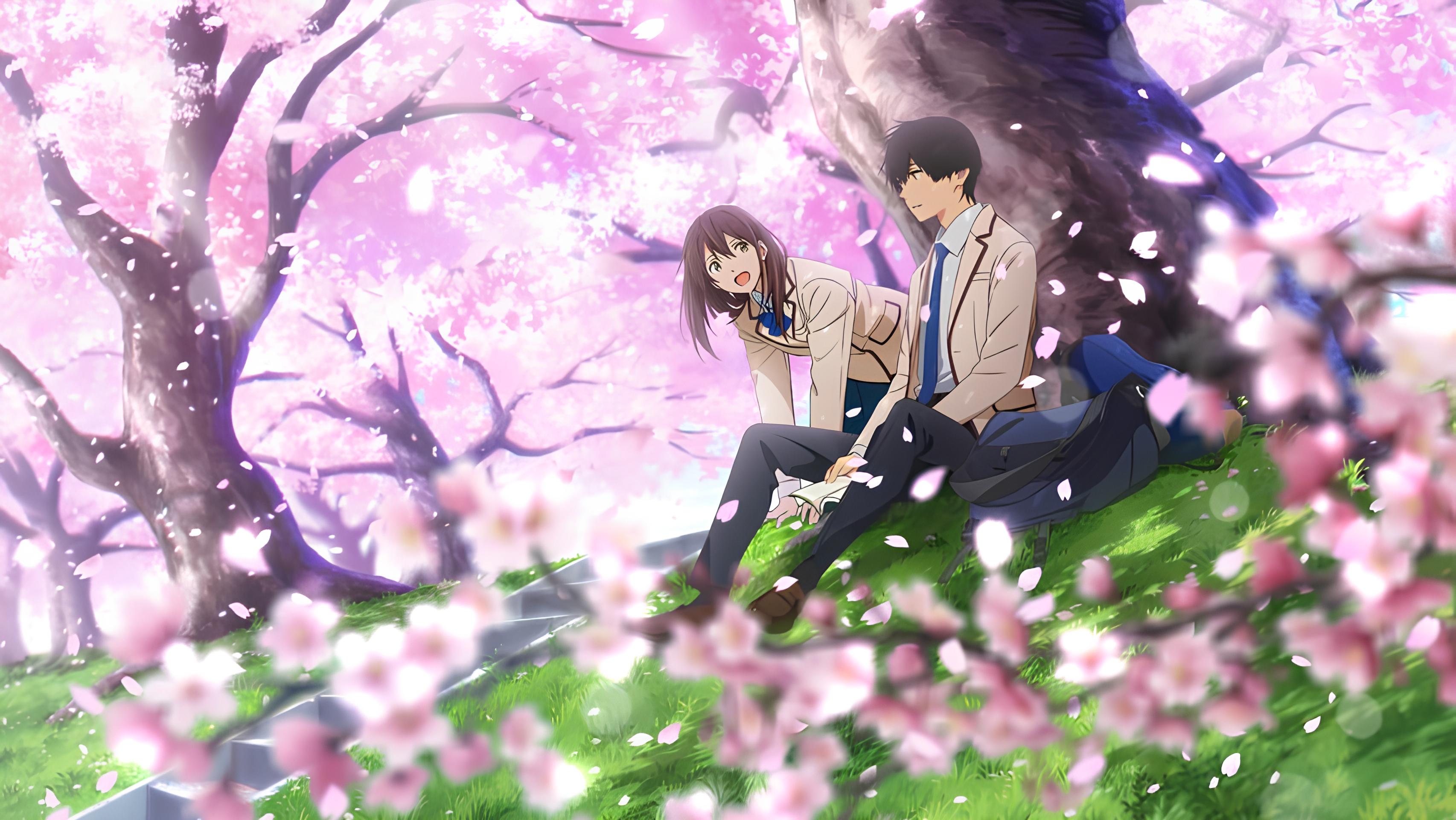 I Want To Eat Your Pancreas (2018) – Don't Let the Title Fool You