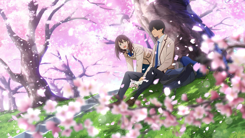 I Want To Eat Your Pancreas (2018) – Don't Let the Title Fool You