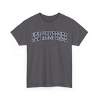 Gray t-shirt with 'NEW HAMPSHIRE' text on a white background