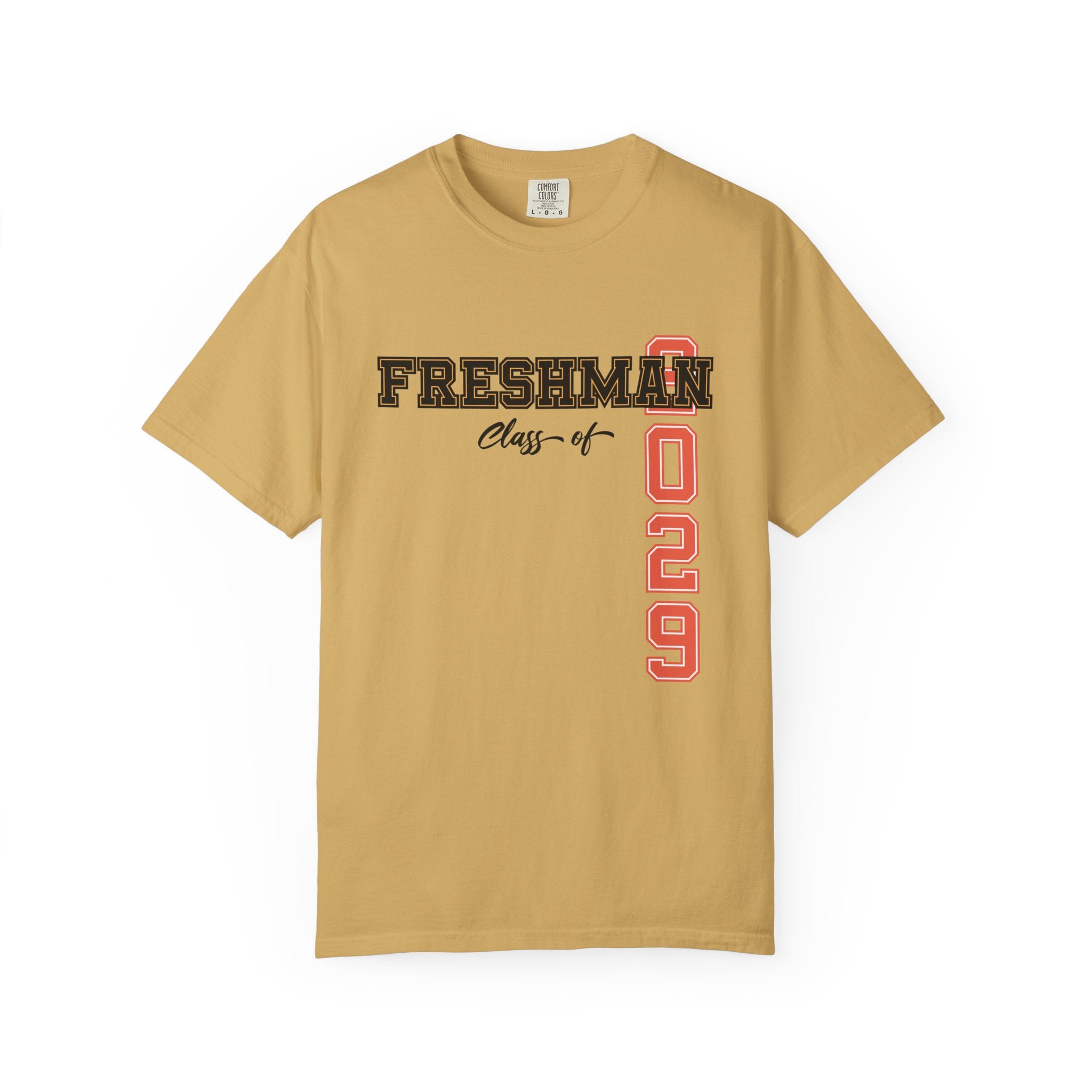 Freshman Class of 2029 T-Shirt | High School Spirit Tee | Graduation Gift Shirt | Student Apparel | Back to School