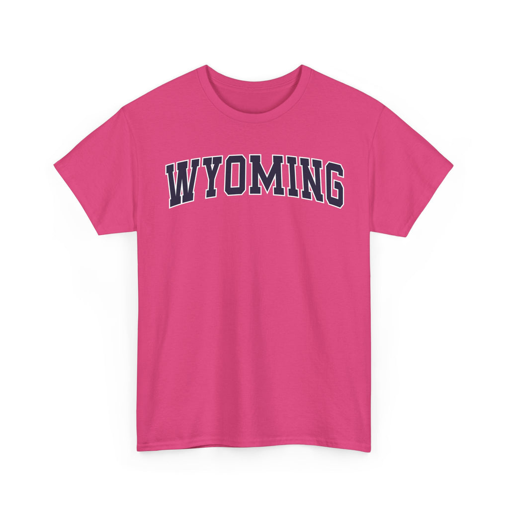 Wyoming Vintage Varsity T-shirt - Heliconia / S - T-Shirt