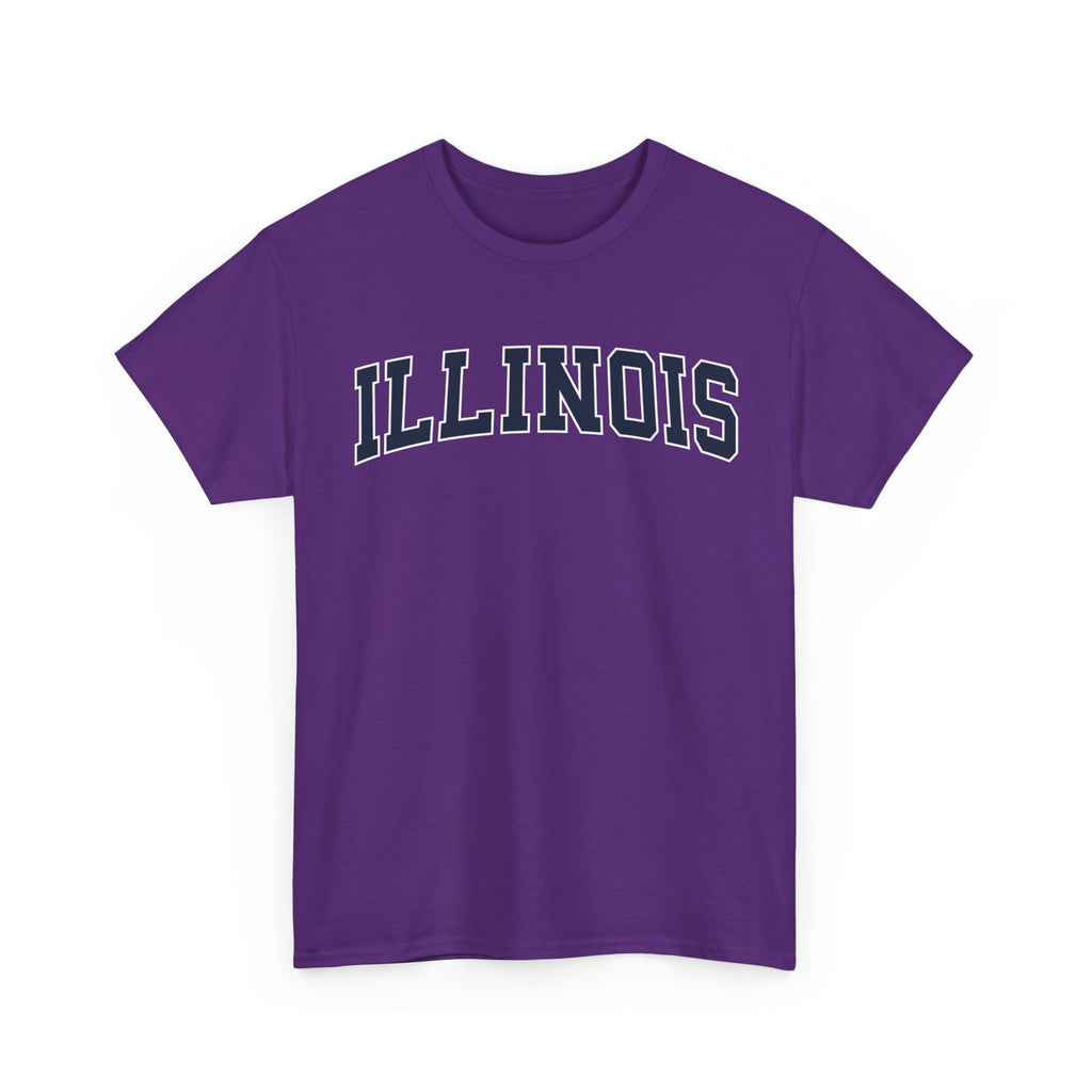Illinois Vintage Varsity Unisex T-shirt - Purple / S - T-Shirt