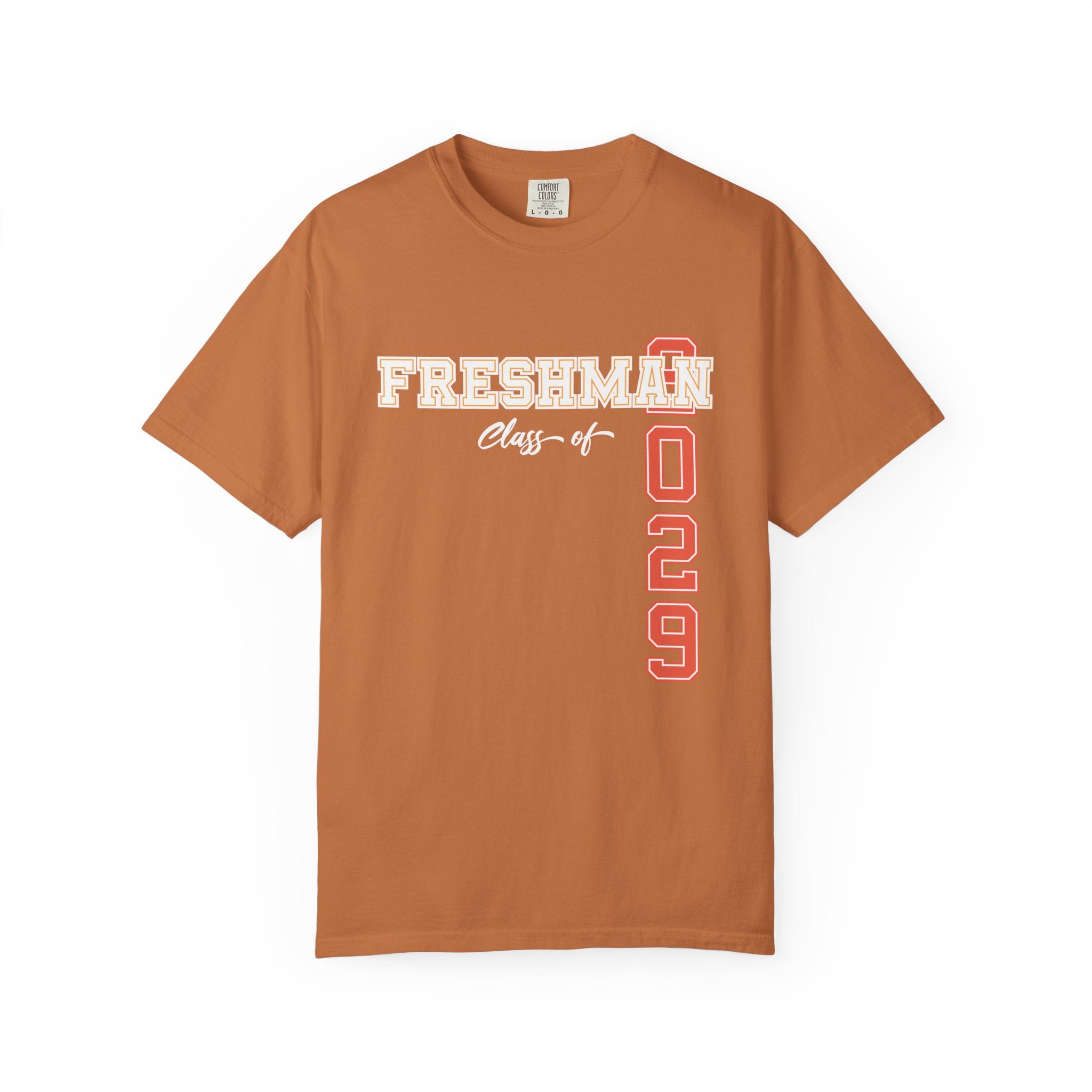 Freshman Class of 2029 T-Shirt | High School Spirit Tee | Graduation Gift Shirt | Student Apparel | Back to School