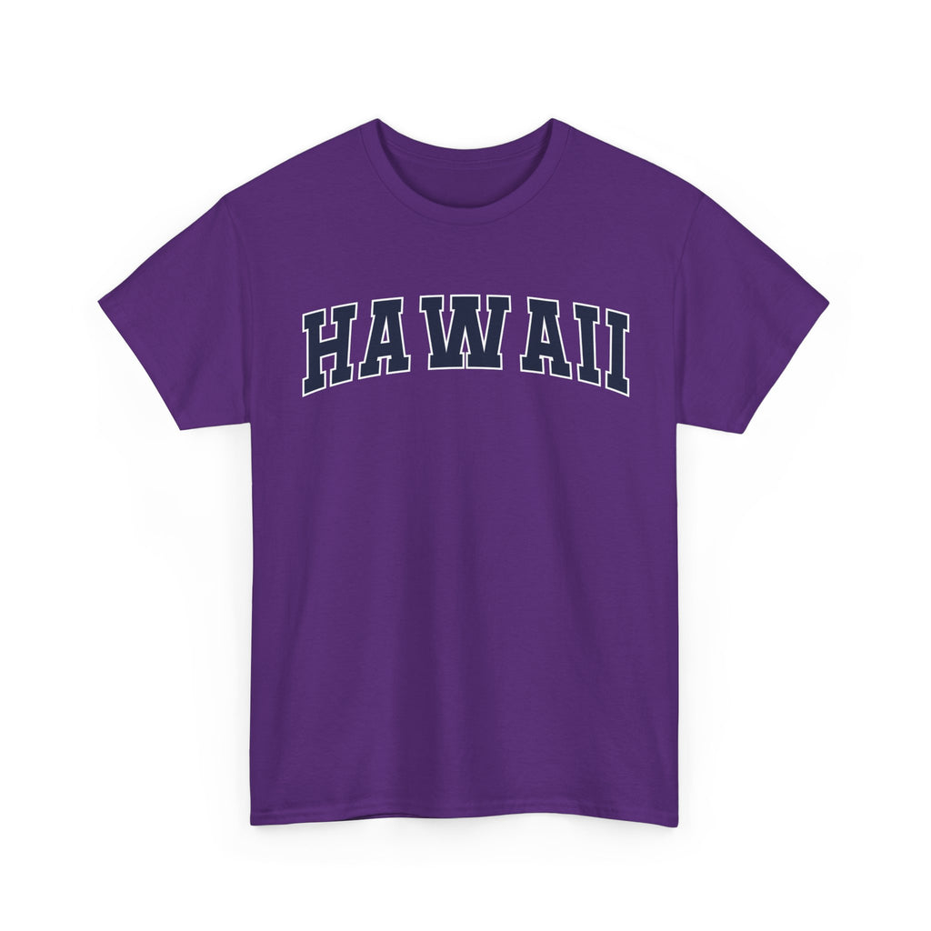 Hawaii Vintage Varsity Unisex T-shirt - Purple / S - T-Shirt