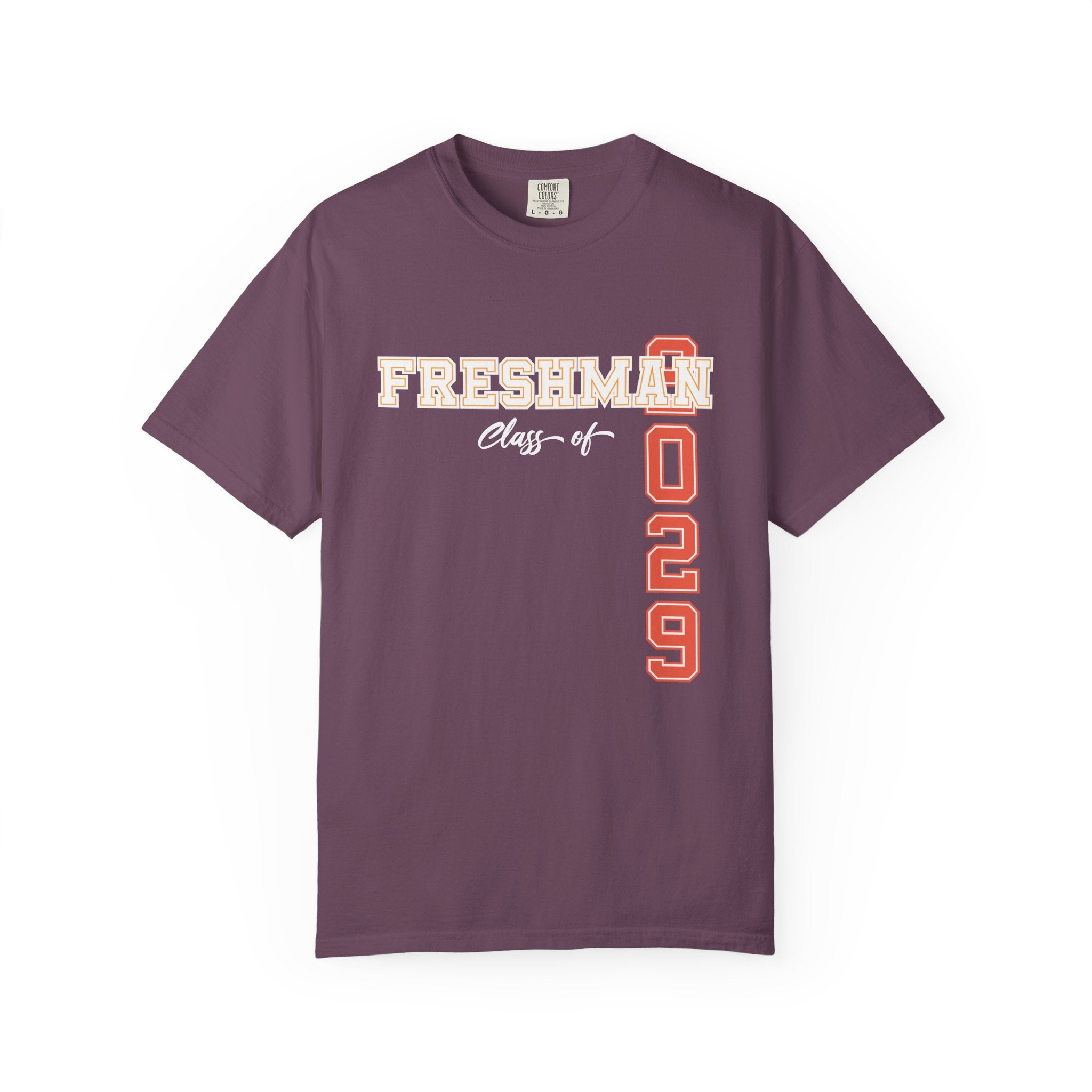 Freshman Class of 2029 T-Shirt | High School Spirit Tee | Graduation Gift Shirt | Student Apparel | Back to School