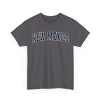 New Mexico Vintage Varsity Unisex T-shirt