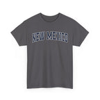 Charcoal t-shirt with 'NEW MEXICO' text on a white background