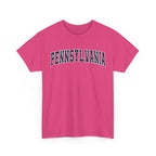 Pennsylvania Vintage Varsity Unisex T-shirt - Heliconia / S - T-Shirt