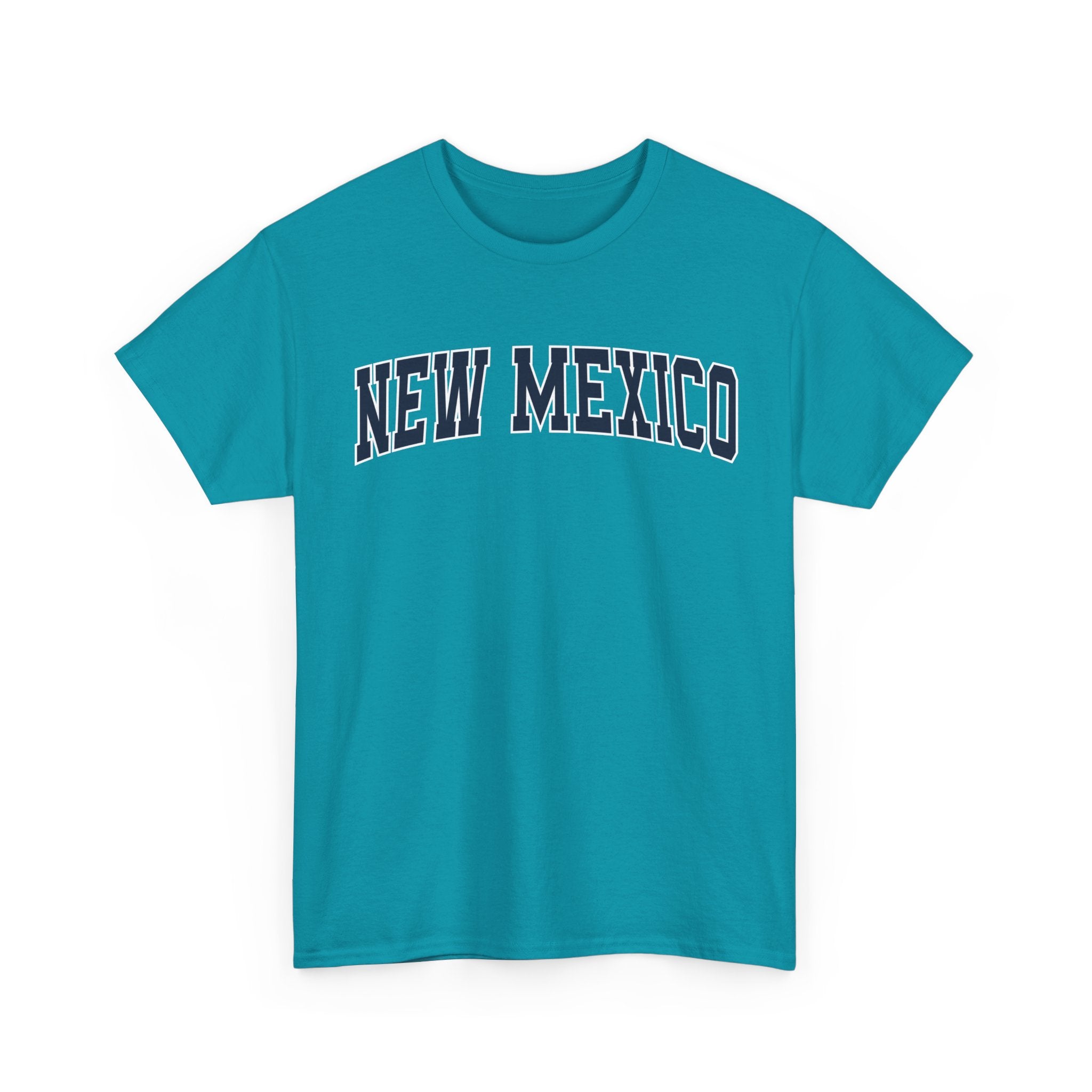 New Mexico Vintage Varsity Unisex T-shirt