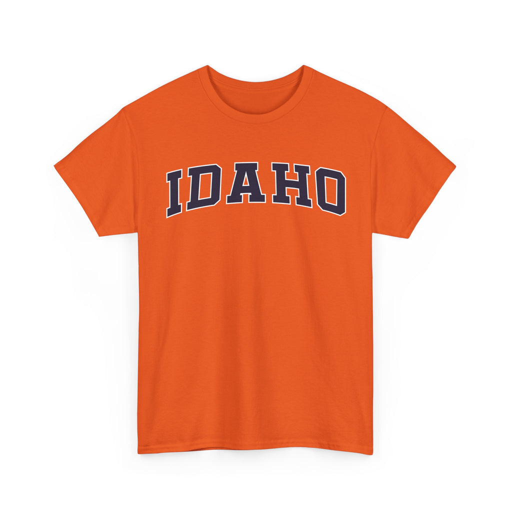 Idaho Vintage Varsity Unisex T-shirt