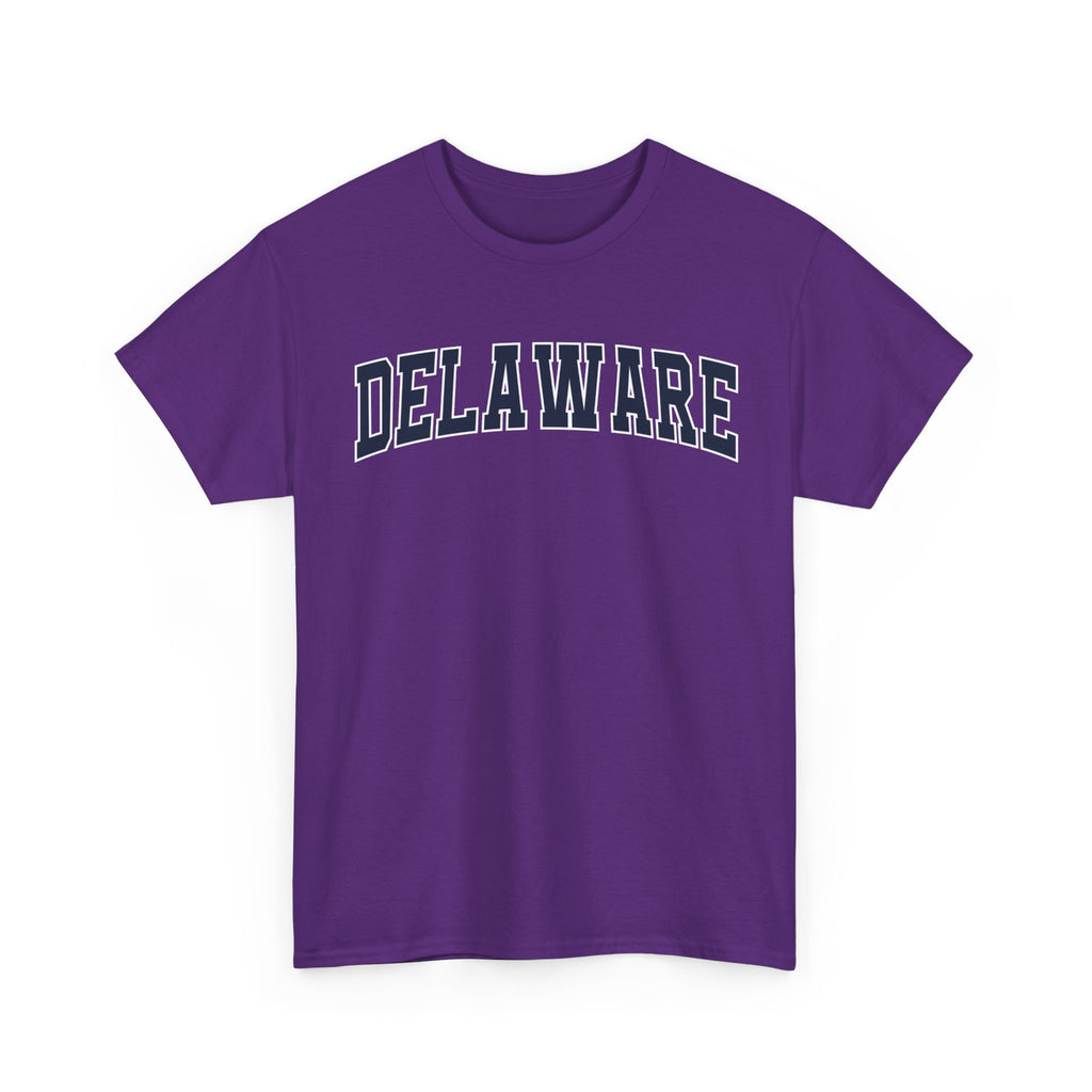 Delaware Vintage Varsity Unisex T-shirt - Purple / S - T-Shirt