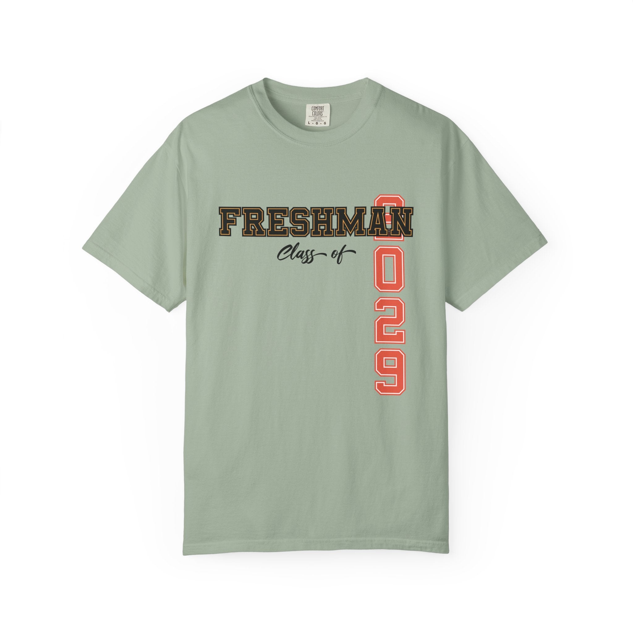 Freshman Class of 2029 T-Shirt | High School Spirit Tee | Graduation Gift Shirt | Student Apparel | Back to School