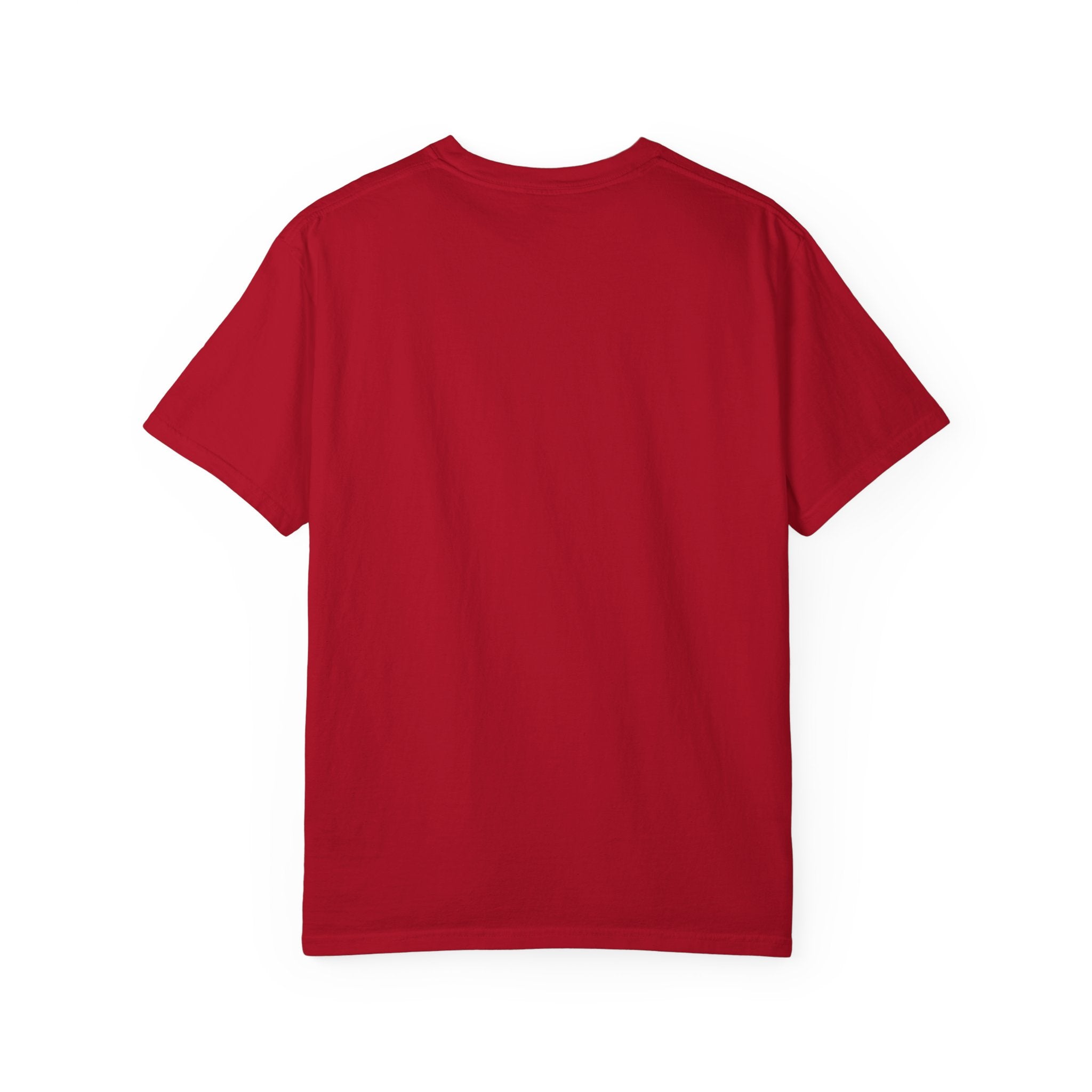 Break the Siege Unisex Garment-Dyed T-Shirt