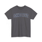 Charcoal t-shirt with 'Connecticut' text on a white background