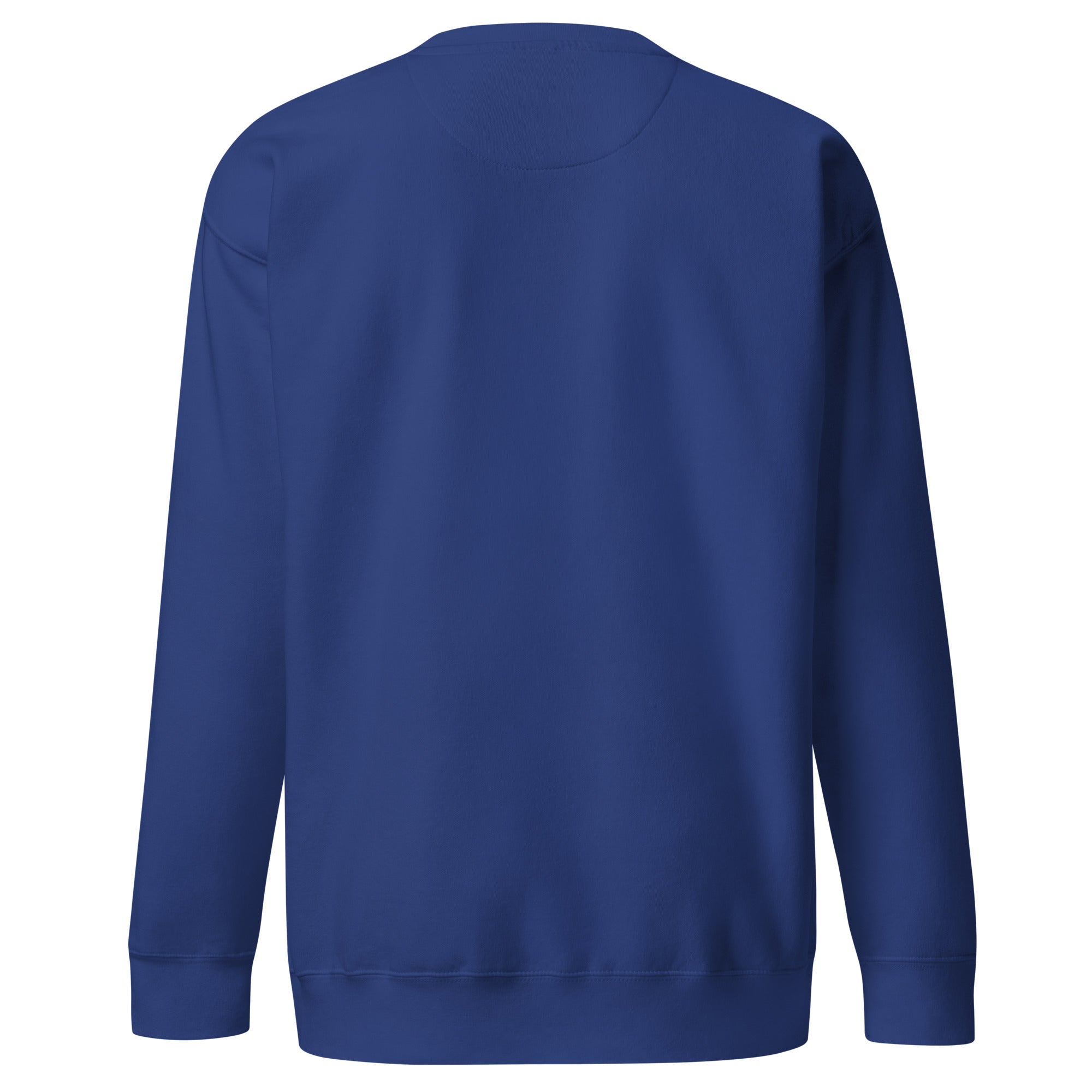 back view of a blue sweatshirt