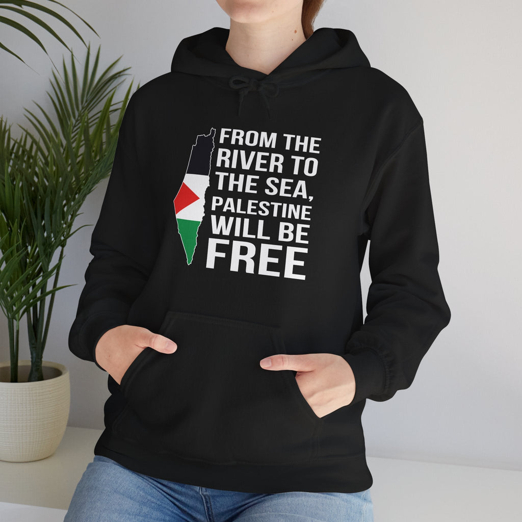 Palestine Freedom Classic Hoodie
