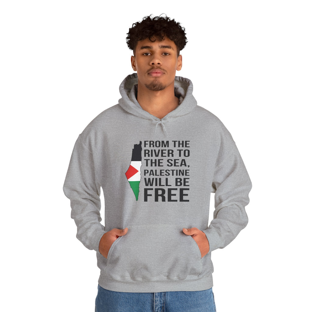 Palestine Freedom Classic Hoodie