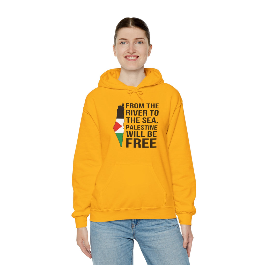 Palestine Freedom Classic Hoodie