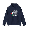 Palestine Freedom Classic Hoodie - Navy / S