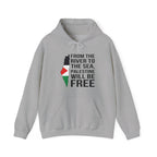 Palestine Freedom Classic Hoodie - Sport Grey / S