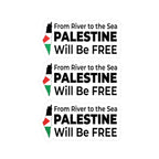 Palestine Freedom Vinyl Sticker - 3’’ x 4’’ / Kiss-Cut / Satin - Paper products