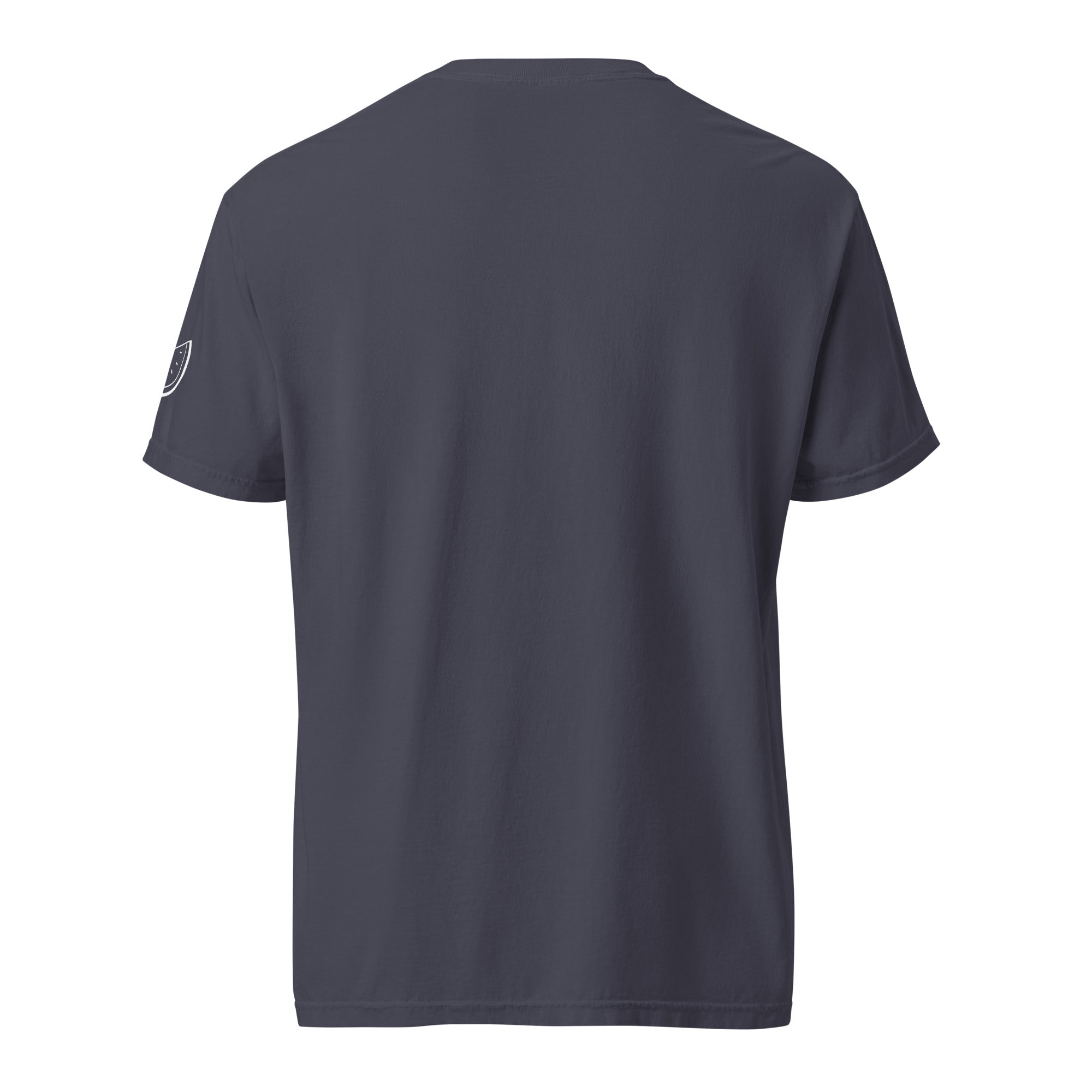 Palestine PRESS Unisex Heavyweight T-Shirt