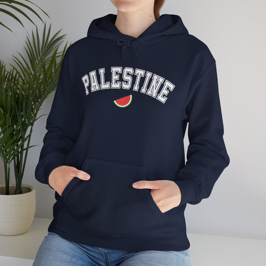 Palestine Varsity Classic Hoodie