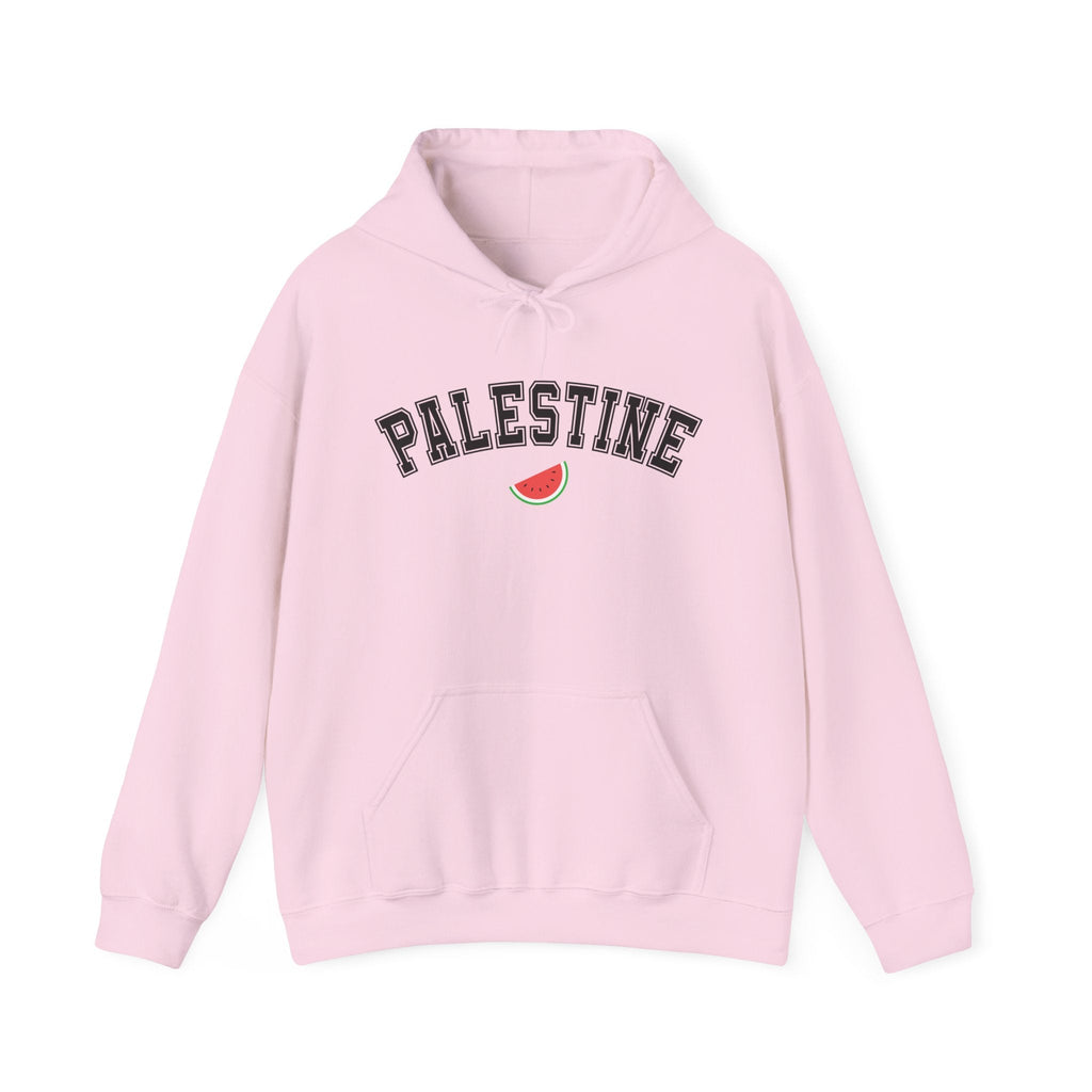 Palestine Varsity Classic Hoodie - Light Pink / S