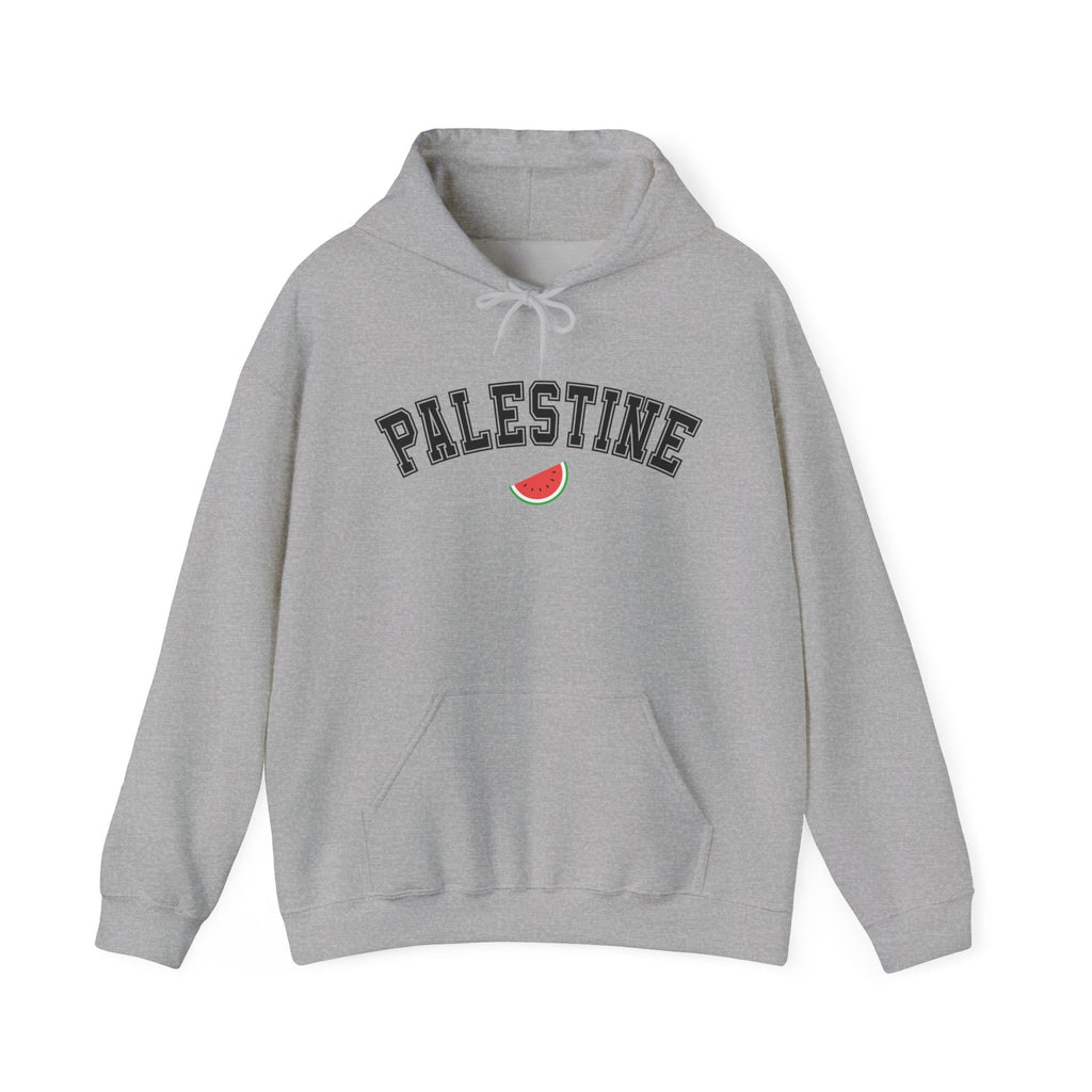 Palestine Varsity Classic Hoodie - Sport Grey / S
