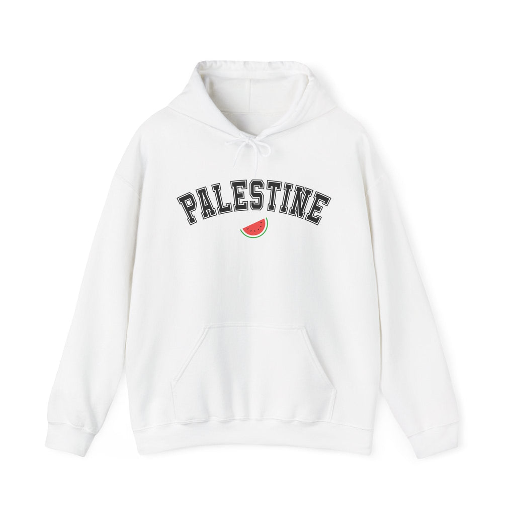 Palestine Varsity Classic Hoodie - White / S