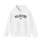 Palestine Varsity Classic Hoodie - White / S