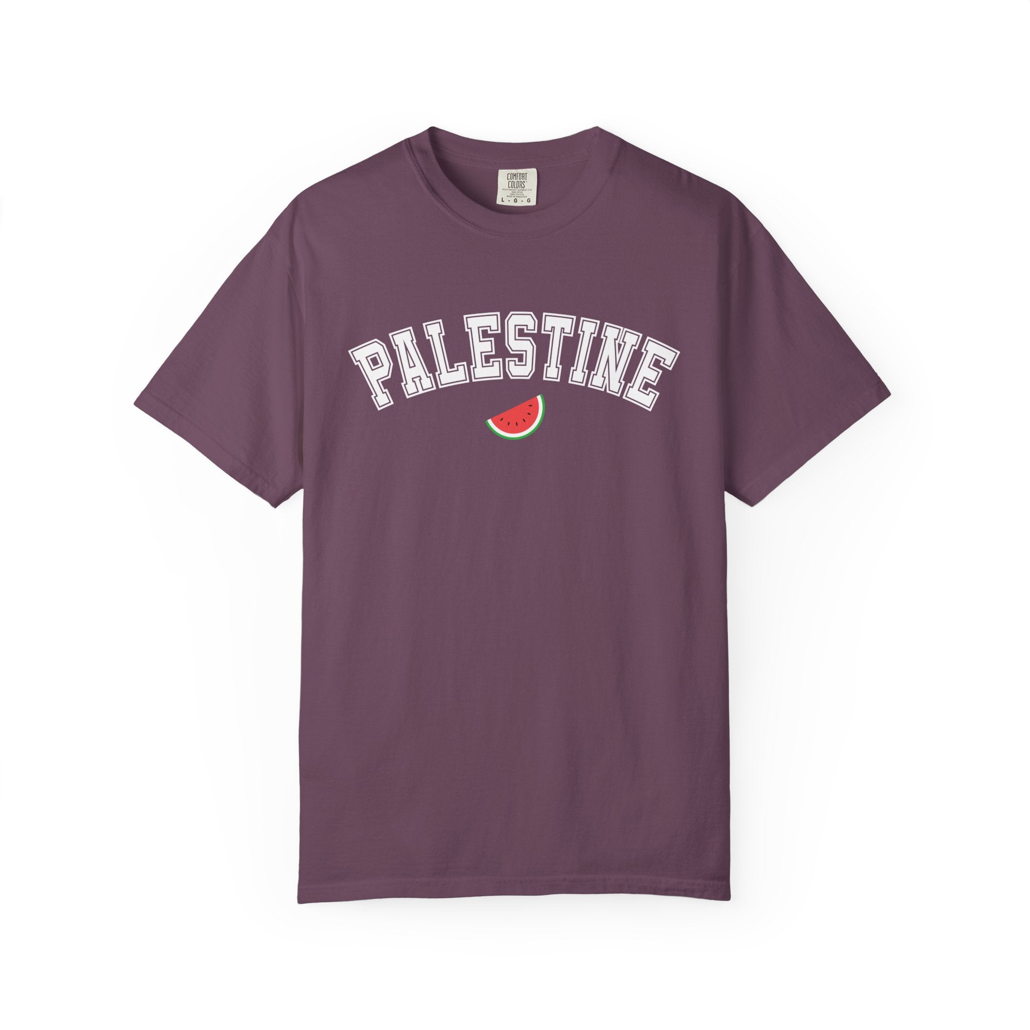 Palestine Varsity Unisex T-Shirt - Berry / S