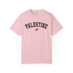 Palestine Varsity Unisex T-Shirt - Blossom / S