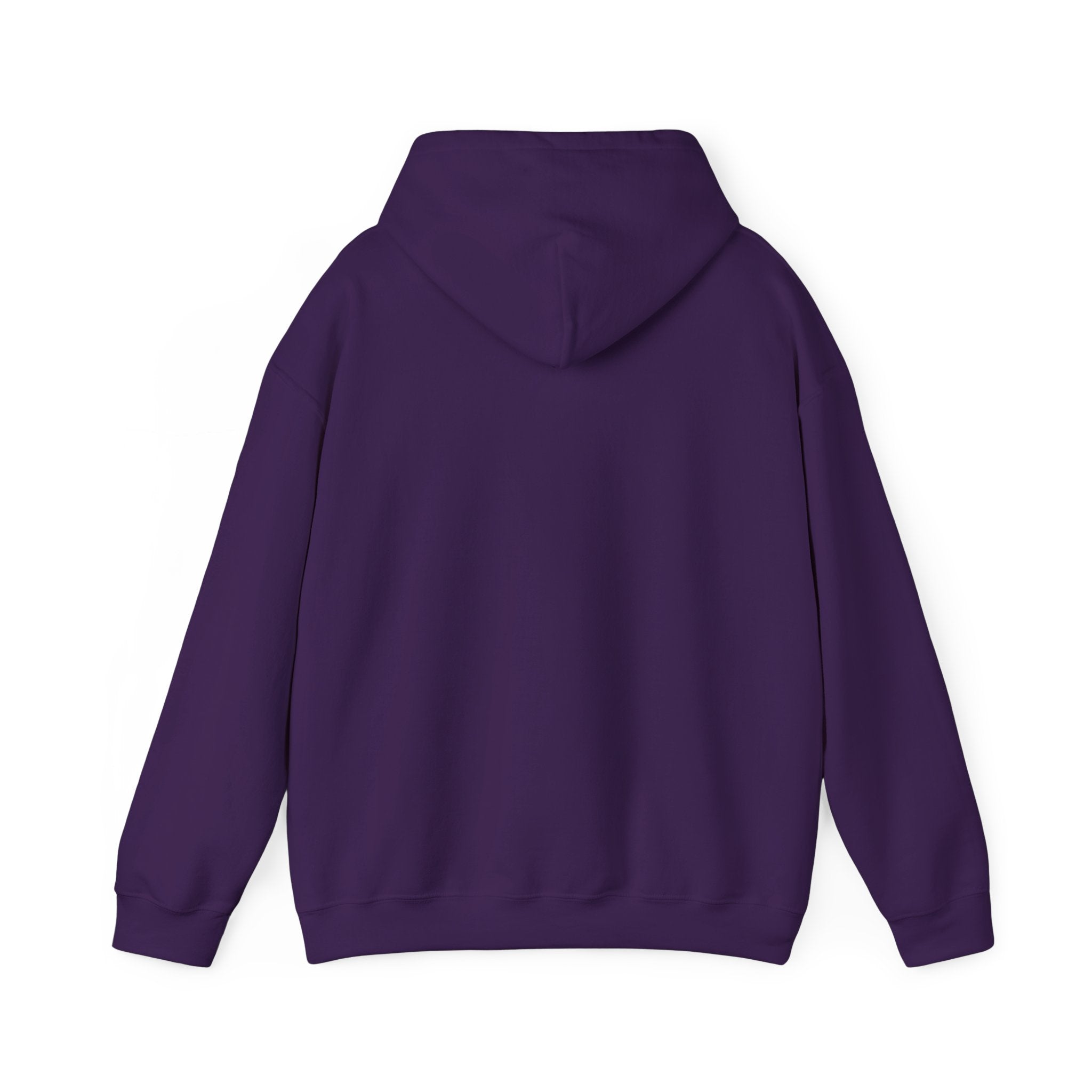 I Stand With Humanity Classic Hoodie